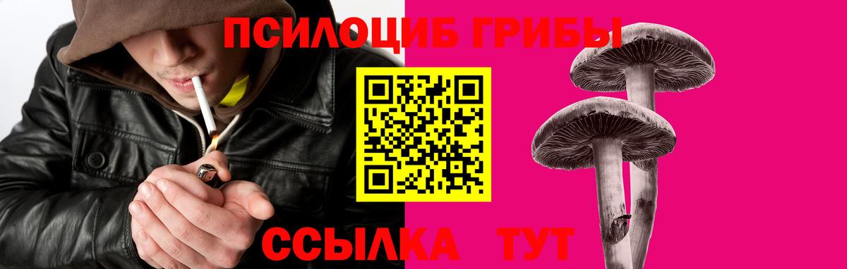 Псилоцибиновые грибы MAGIC MUSHROOMS  Вход с VPN  Иваново 